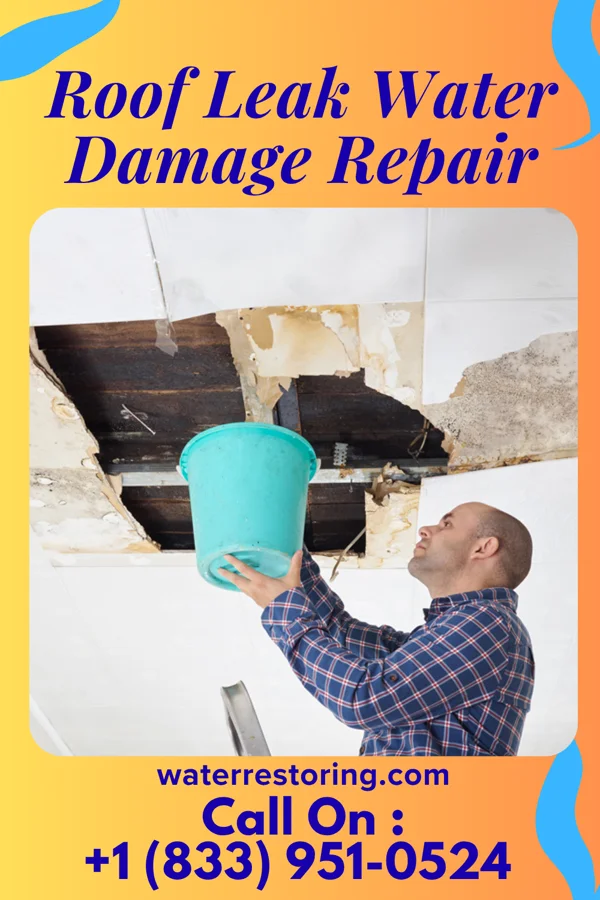 Roof Leak Water Damage Repair in Coopertown, TN