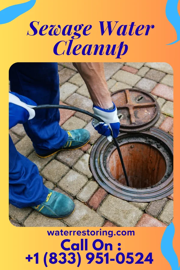 Sewage Water Cleanup in Coopertown, TN